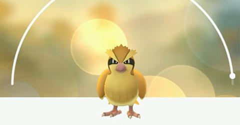 Pidgey in 'Pokémon GO'