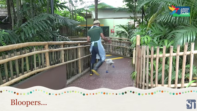 ScreenShot2017-08-18at10.11.47AM-1503065951737-1503065954727.png
