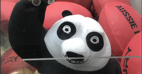 13-strung-out-panda-1557502441294.jpg