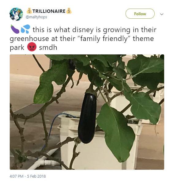 epcot greenhouse twitter