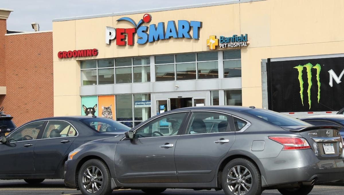 Woman Finds Box of Live Fish in PetSmart Dumpster