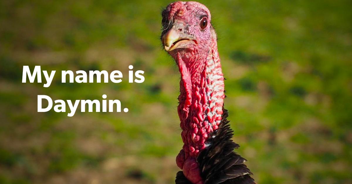 This Woman Posted All the "Best White Boy Names" She's Seen on Twitter