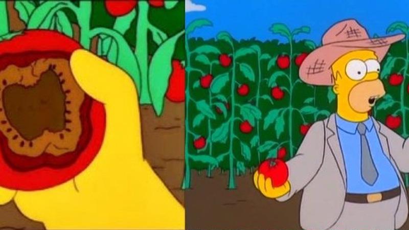 simpsons mutated tomatoes