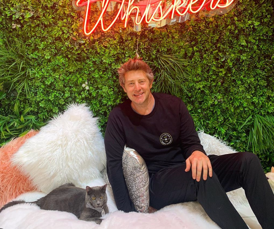 jason nash cat cafe