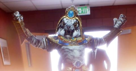 who-is-the-white-tiger-masked-singer-1-1580743969035.jpg