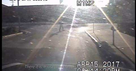 LAPD officers playing 'Pokémon GO' while driving around on duty.