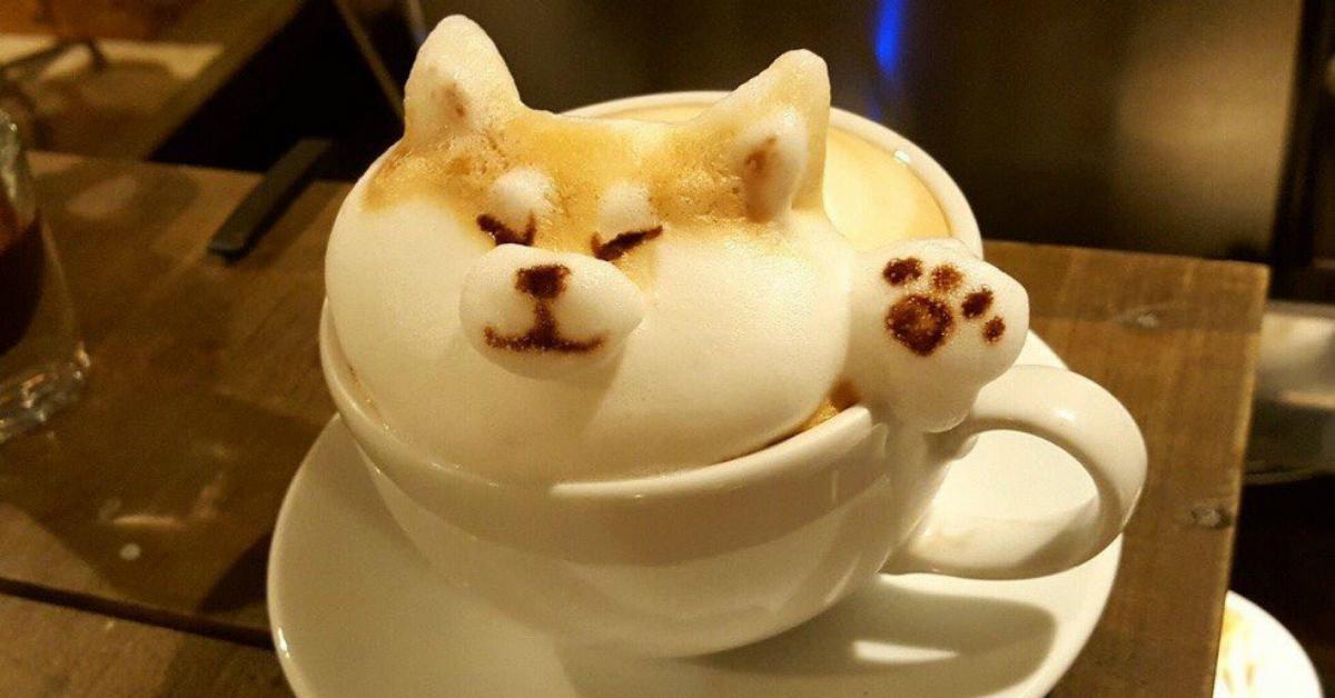 cover-latte-1506948215622-1506948219097.jpg
