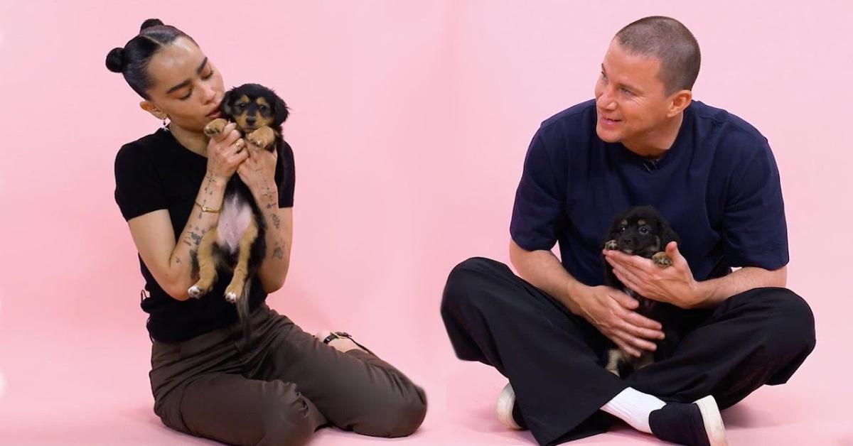 Channing Tatum and Zoë Kravitz during Buzzfeed's Puppy Interview in August 2024.