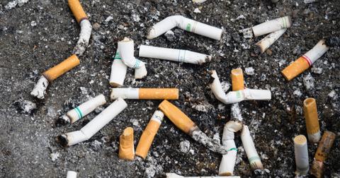 cigarette stubs picture id