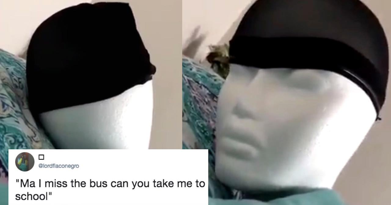 New Styrofoam Meme Has the Laughing