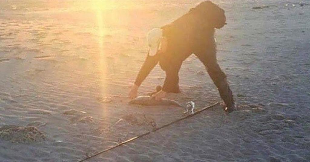 This Optical Illusion Has People Seeing Different Things And We Are Stumped