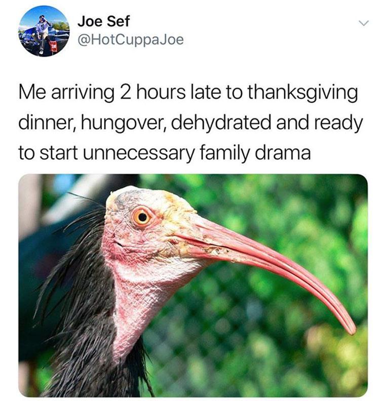 thanksgiving meme