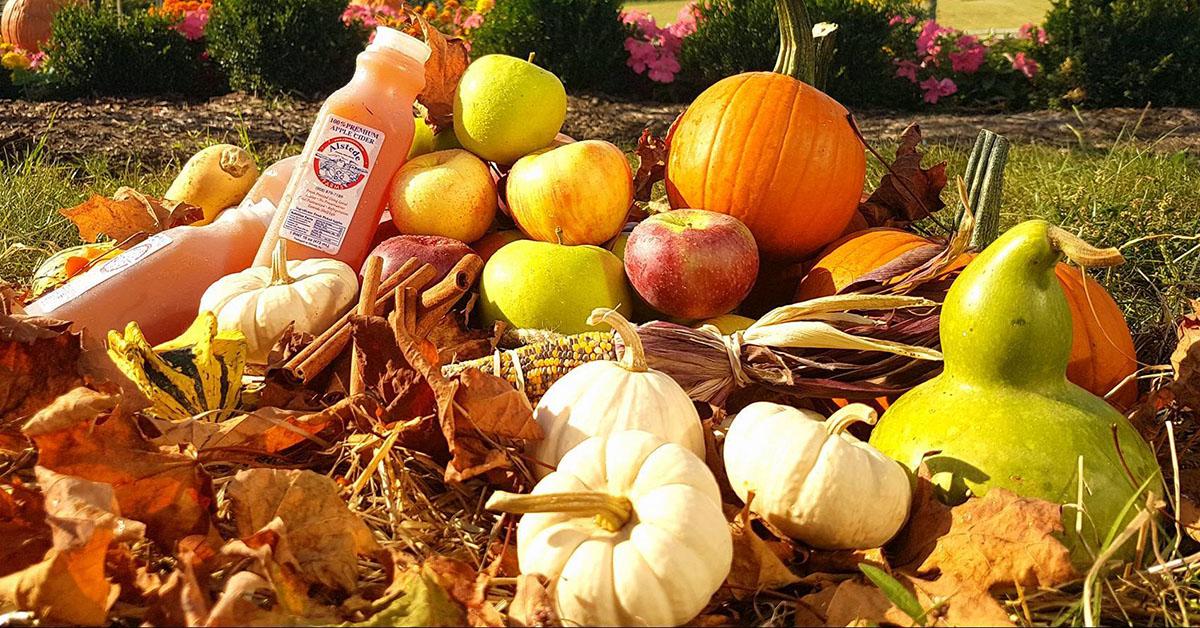 best pumpkin patch near me new york