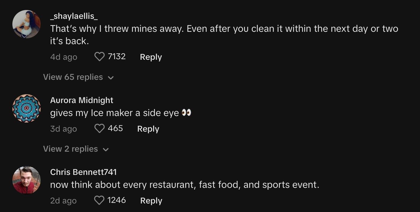 Commenters cringe at the thought of dirty ice makers