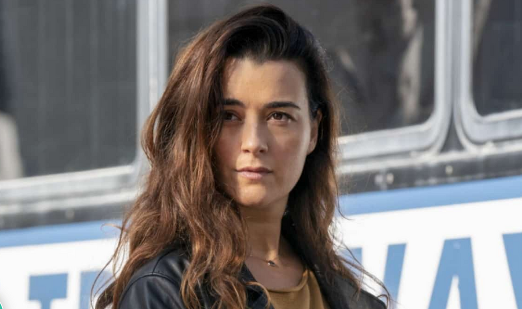 Will Ziva David Come Back and Make an Appearance on 'NCIS' This Season?