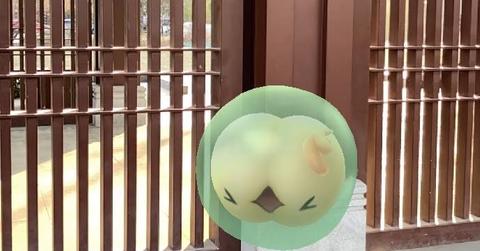 Solosis from 'Pokémon GO"