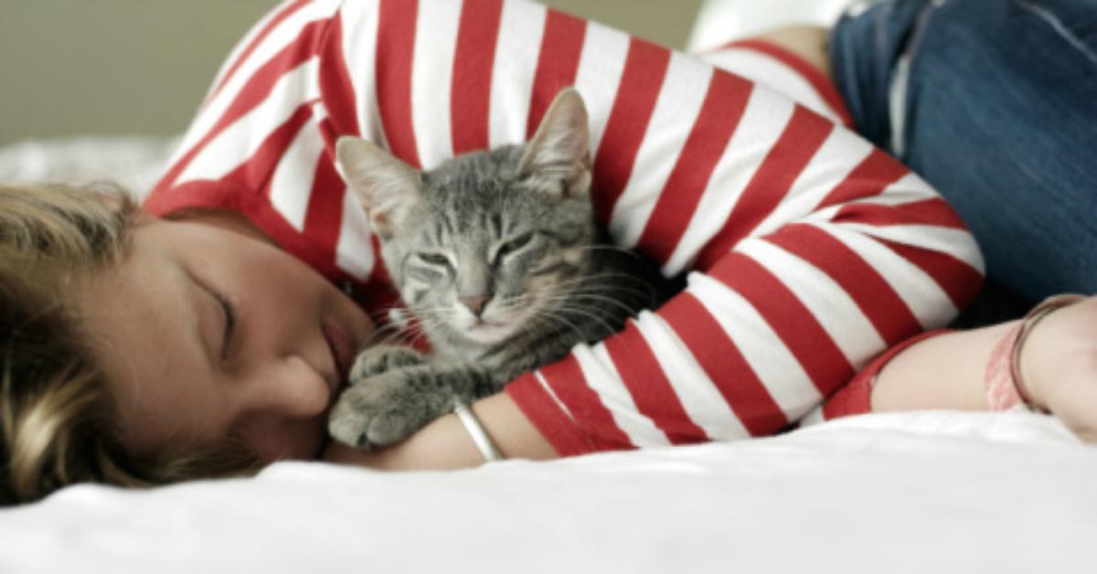 You can now get paid to cuddle cats all day long