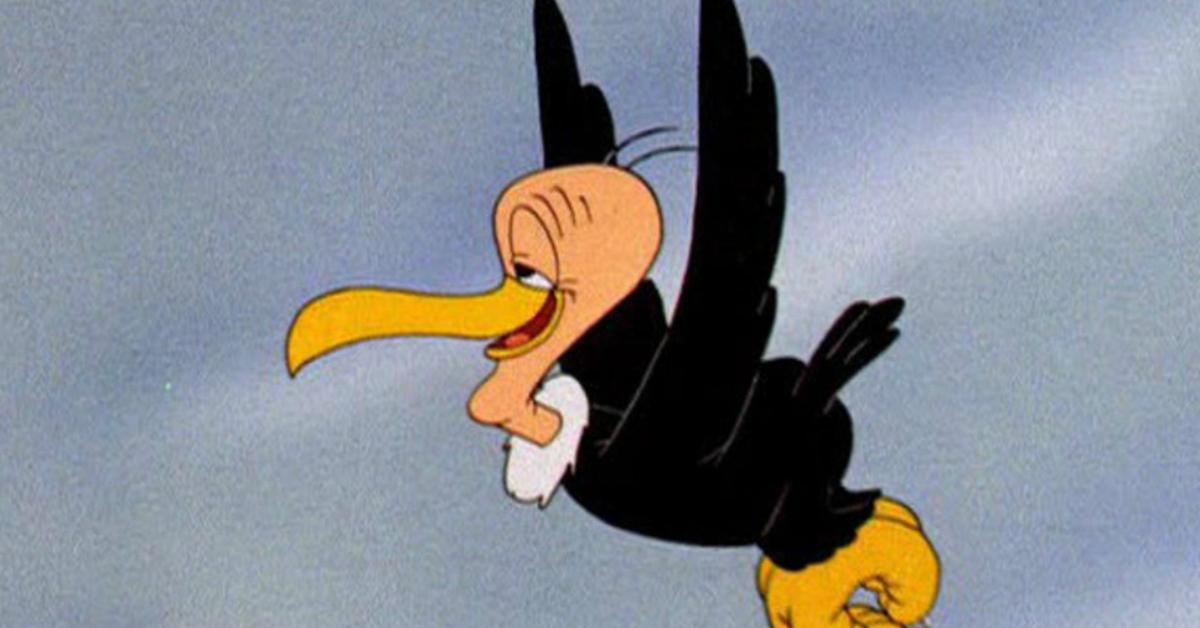 beaky-buzzard-1542298807690-1542298809999.jpg