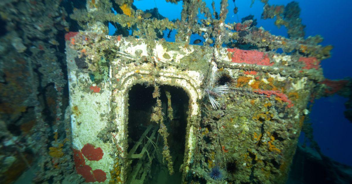 A sunken ship turned into an artificial reef