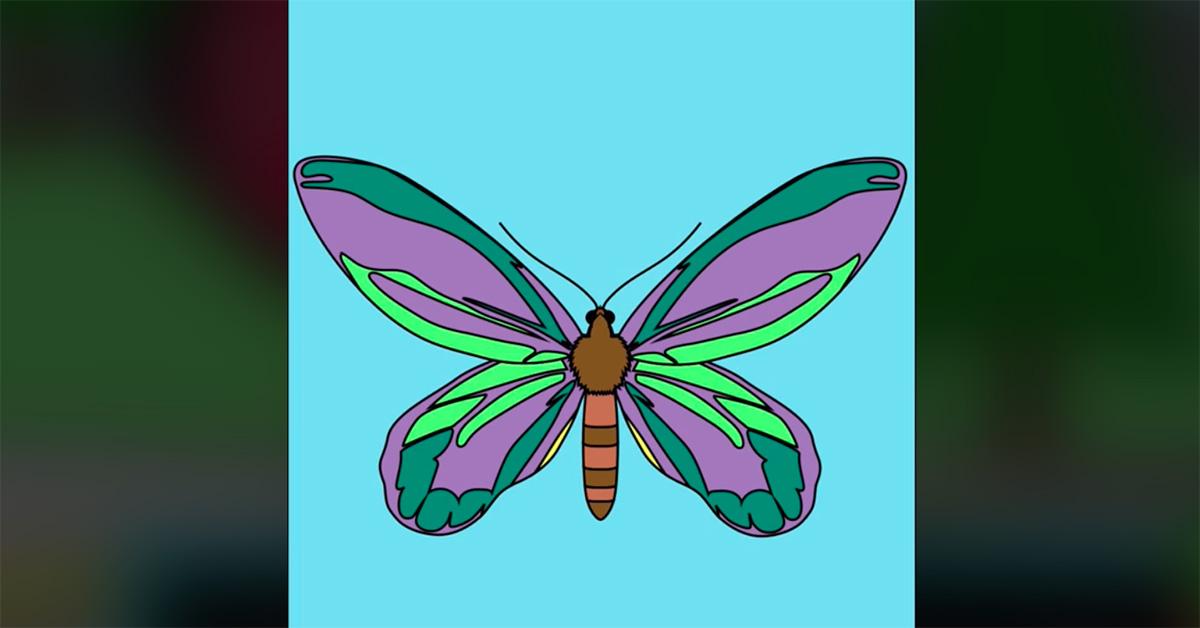 A colored butterfly from the coloring book challenge on TikTok