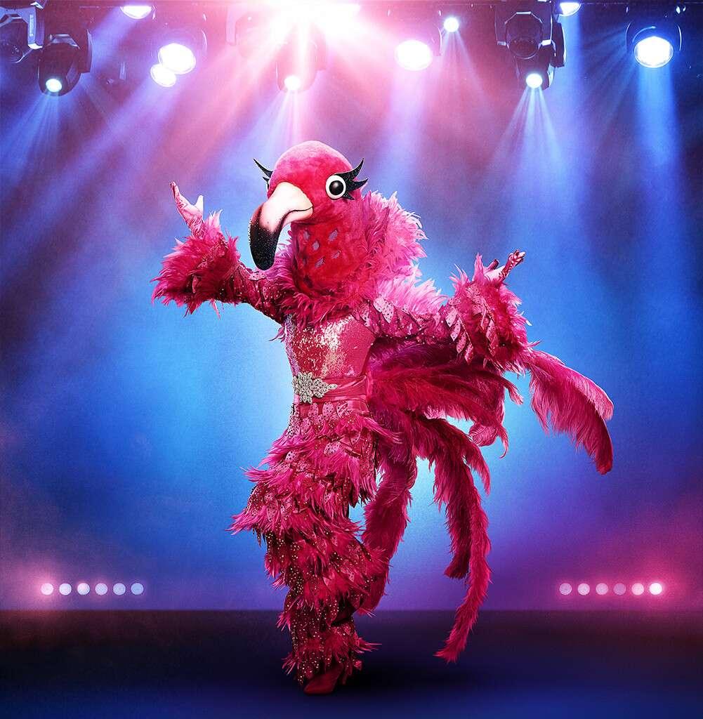 masked singer flamingo