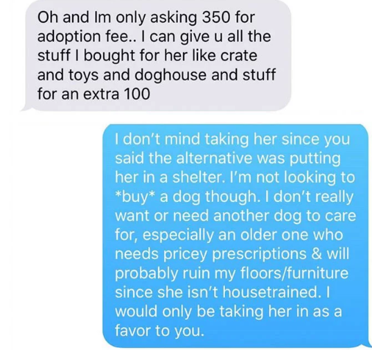 dog adoption swindle