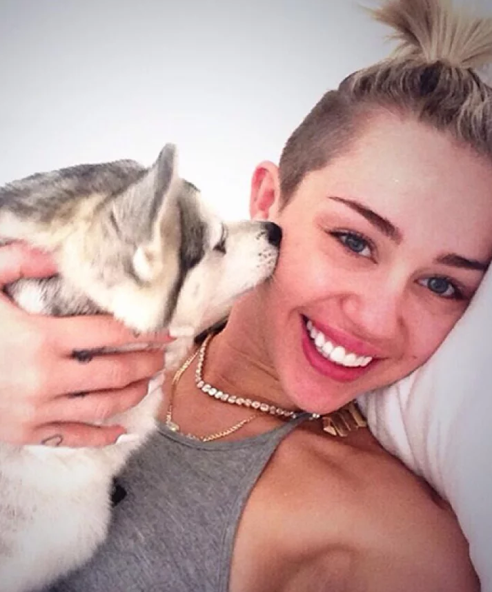 miley cyrus with dog