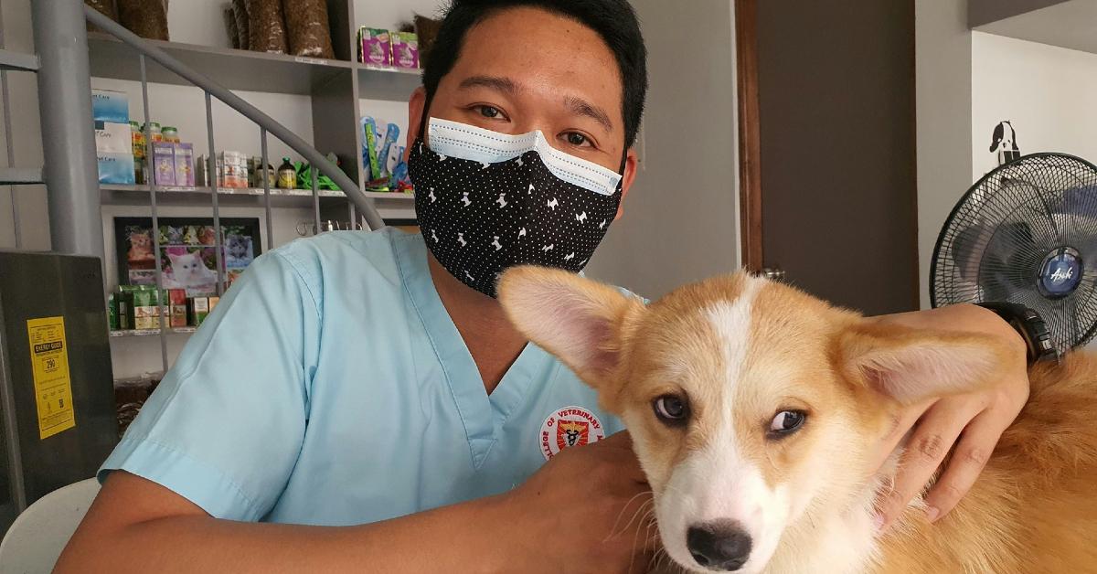 karlo tottoc veterinarian