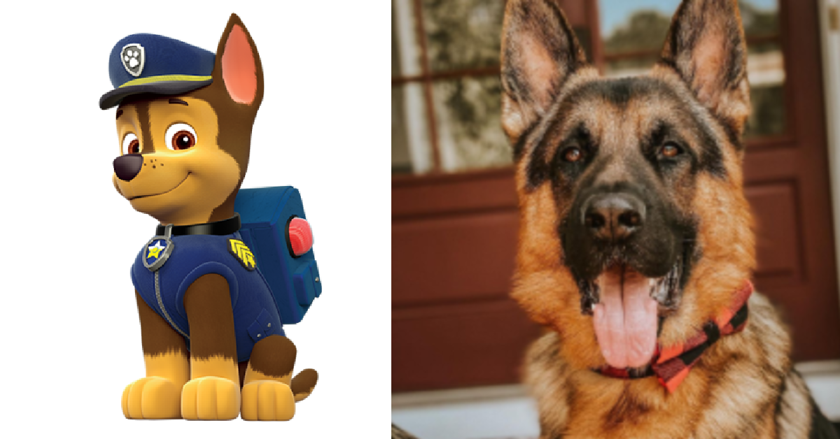 What Are the Dog Breeds on 'Paw Patrol'? Here's What We Know