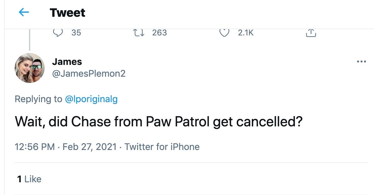 what happened to chase paw patrol