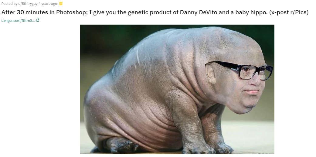 devito hippo