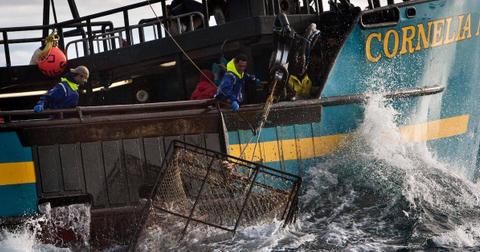 jason-tennessee-king-deadliest-catch-1563915044094.jpg