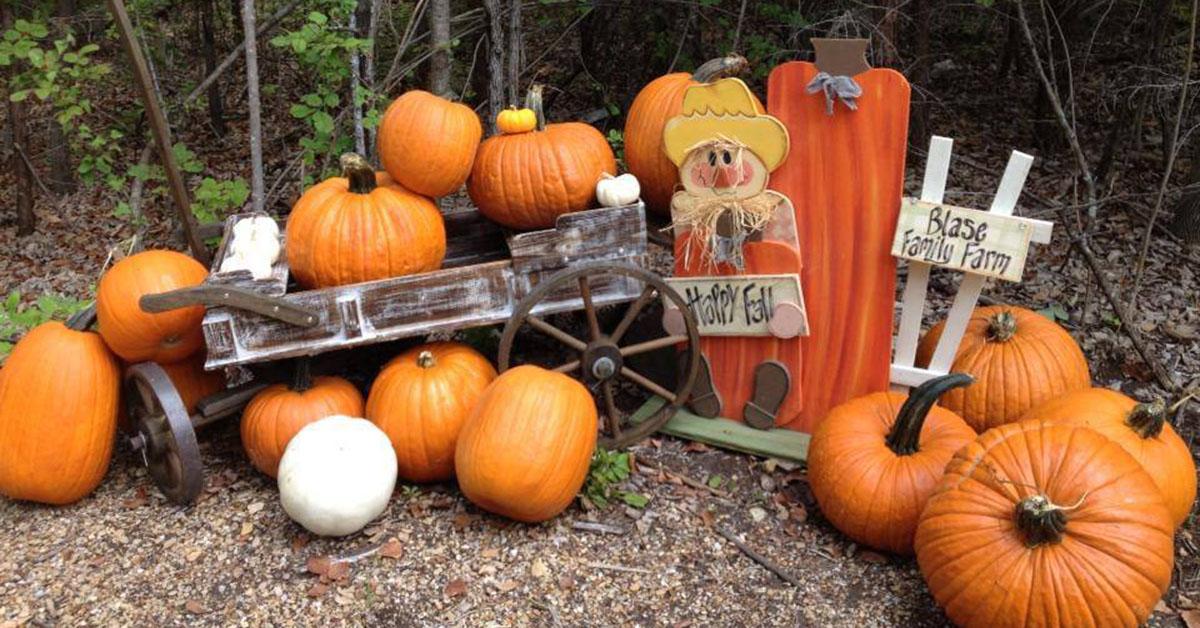 The Best Pumpkin Patches Near Me — Here's Where You Need to Go