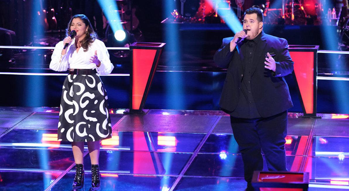 What Are 'The Voice' Steals? A Guide to Understanding the Show