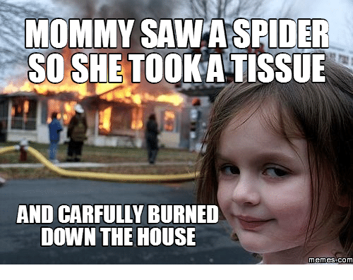 Man Tries Killing Spiders With Blowtorch Ends Up Setting House On Fire 3720