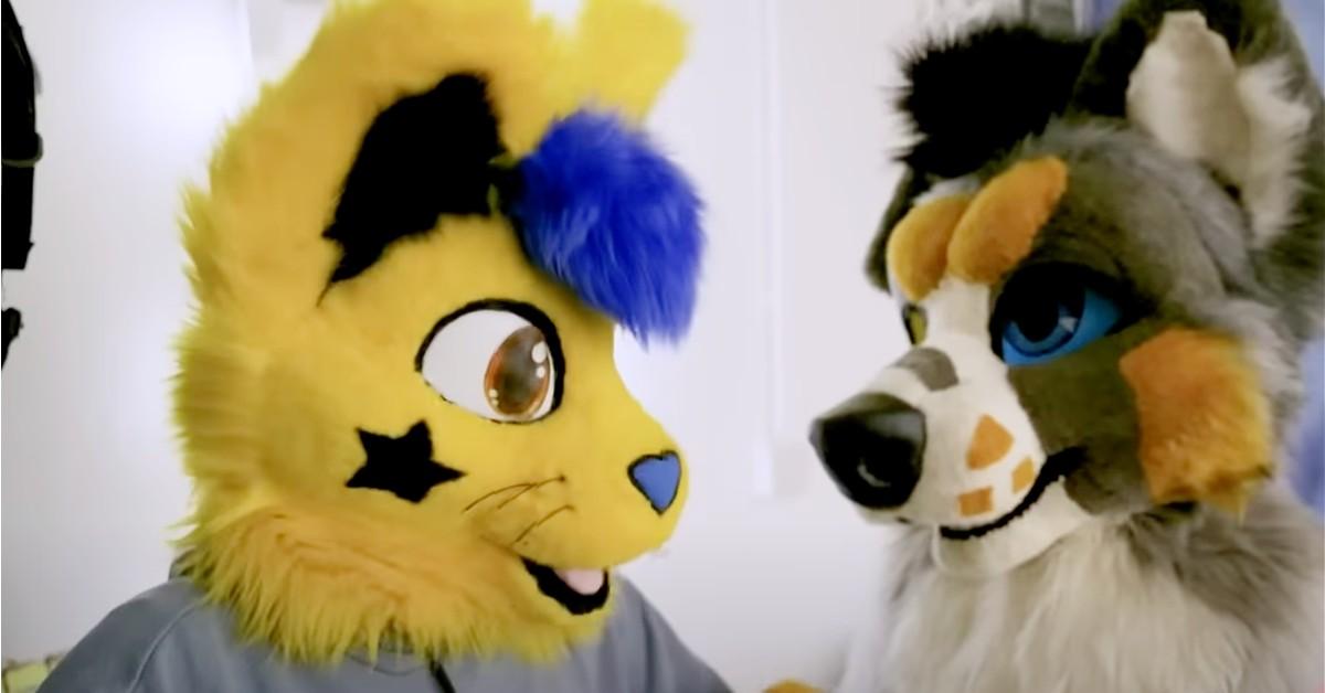 therians vs furries｜Pesquisa do TikTok