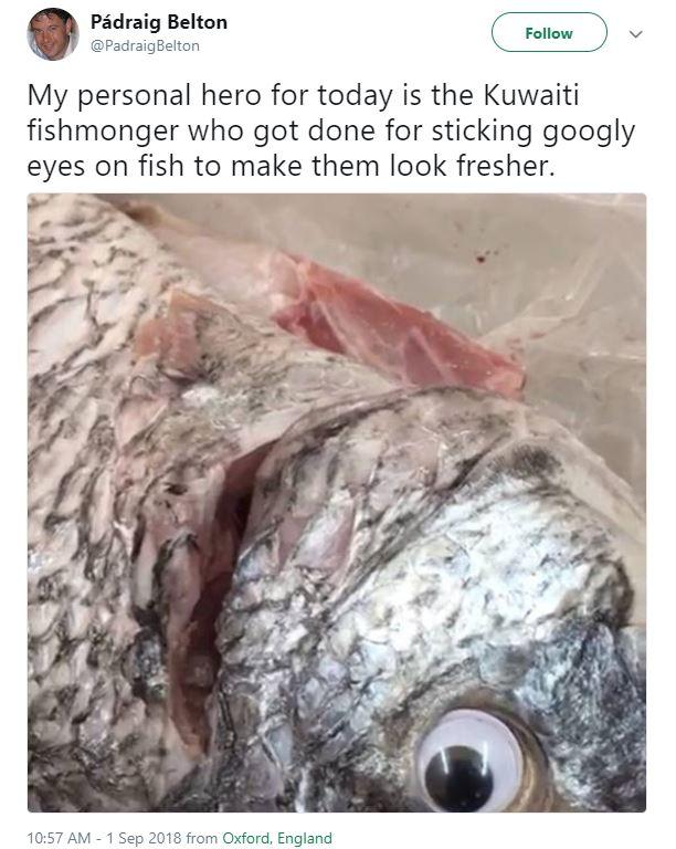 fishgooglyeyes