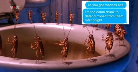 cockroachestoiletcover