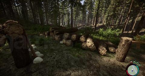 'Sons of the Forest' Close-up of multiple logs duplicated from glitch.