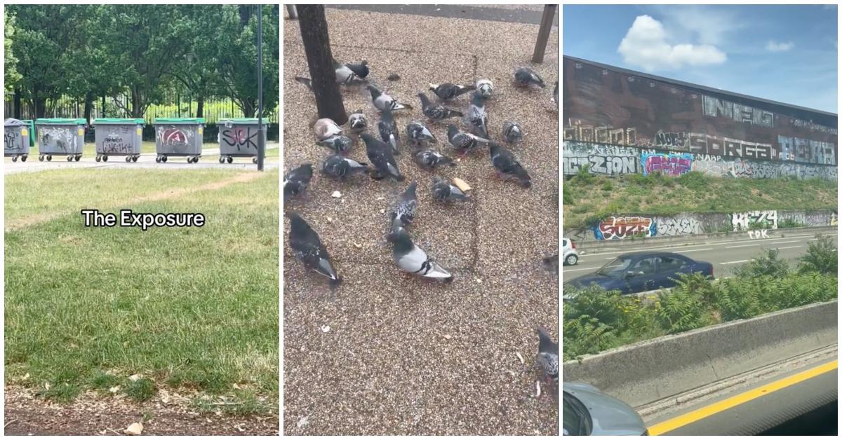 TikTok man says Paris is overrated tourist trap, shows graffiti and pigeons