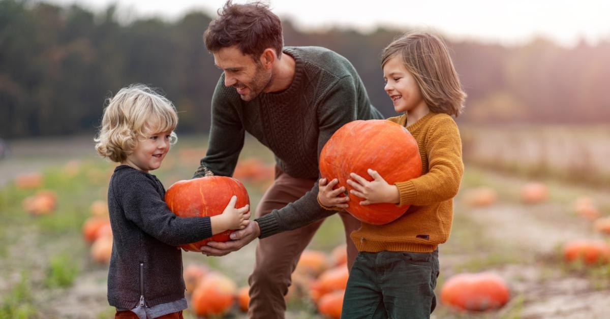 pumpkin patch safe