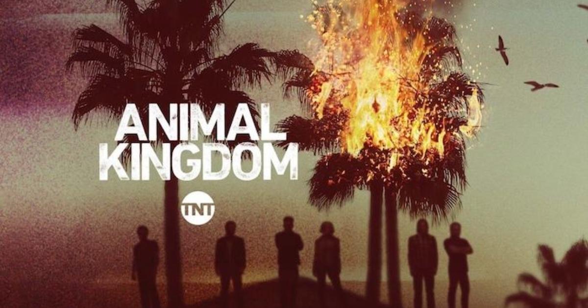 Animal Kingdom' Star Shawn Hatosy Teases 