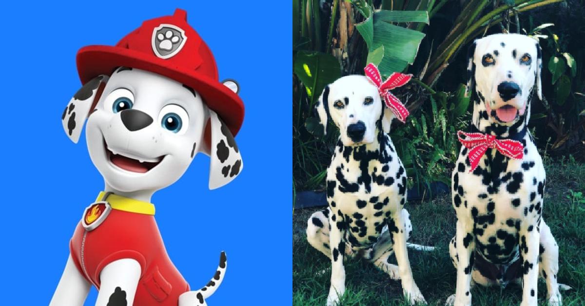 What Are the on 'Paw Patrol'? Here's We Know