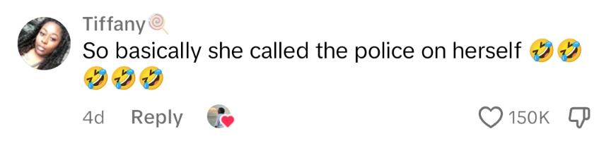 TikTok comment about a Karen at a public park calling the police