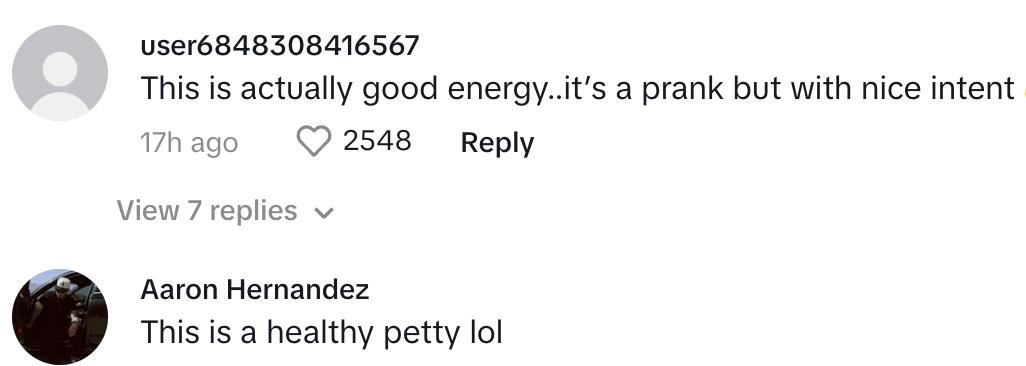 A commenter saying the prank has nice intent