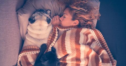 6-kissing-dogs-1563468311282.jpg