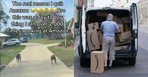 Amazon Delivery Driver Tired of Running From Dogs Quits Job