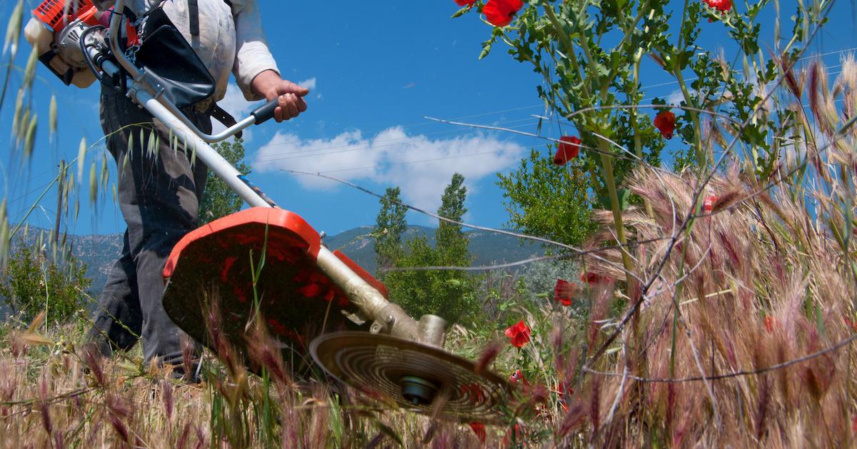 weed wacker