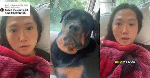 Neighbor Calls Animal Control on Woman’s Dogs, Lies About Rabies