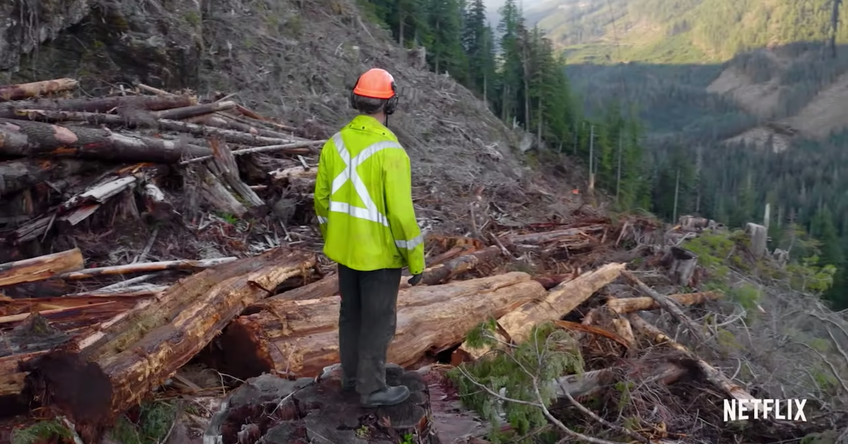 Kevin Wenstob Net Worth Plus, 'Big Timber' Logger Salaries